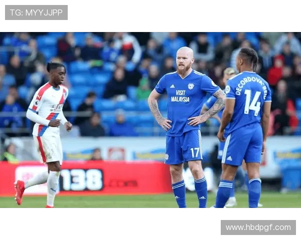 卡迪夫城俱乐部宣布新赛季引援计划 目标争夺英冠升级资格 卡迪夫城俱乐部宣布新赛季引援计划 目标争夺英冠升级资格